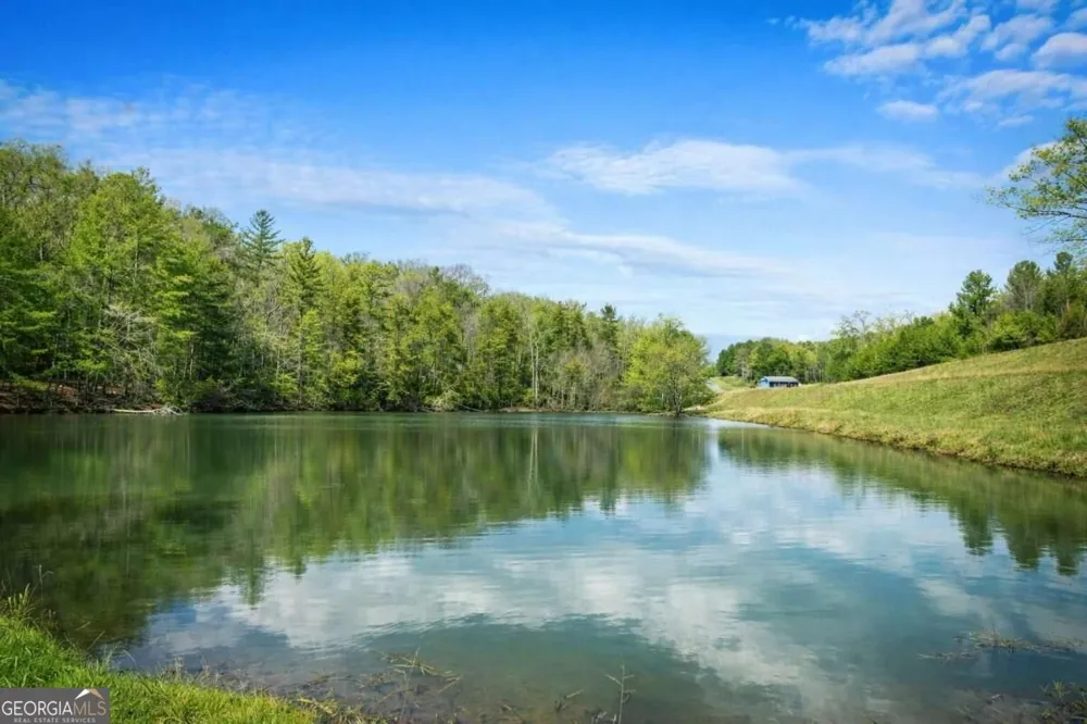 259 Red Bush School RD Blue Ridge, GA 30513