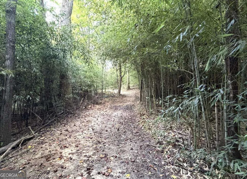 202 Standing Rock LN Ellijay, GA 30540
