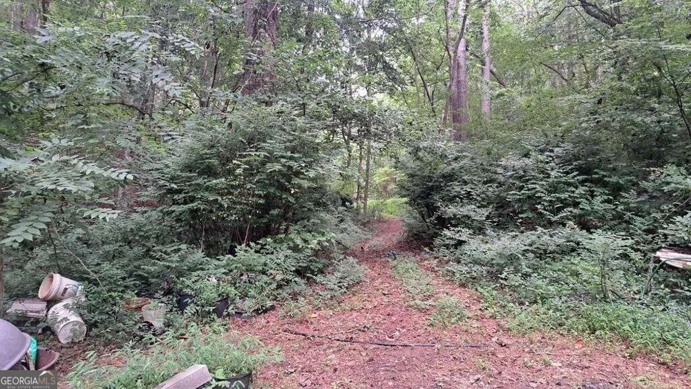 202 Standing Rock LN Ellijay, GA 30540
