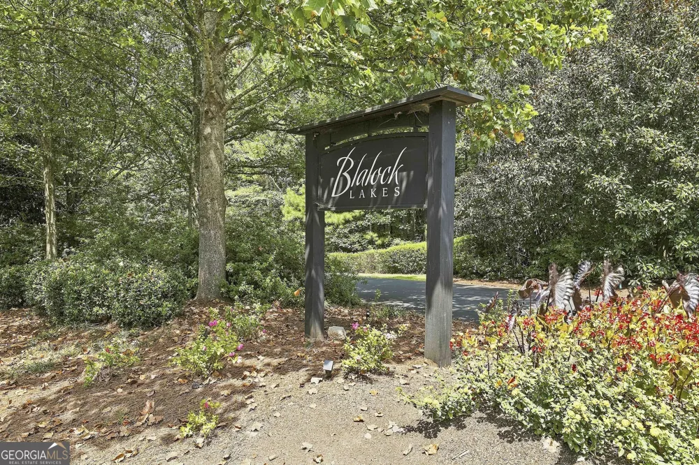 55 Paddleboat LN Newnan, GA 30263