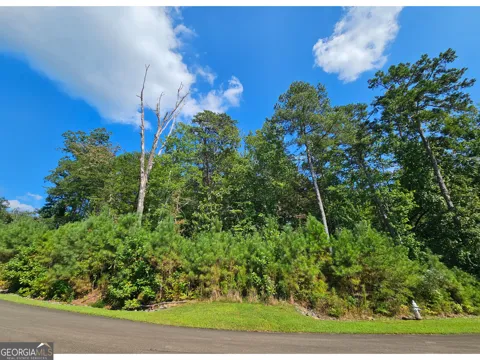 LOT 241 Carters View LN