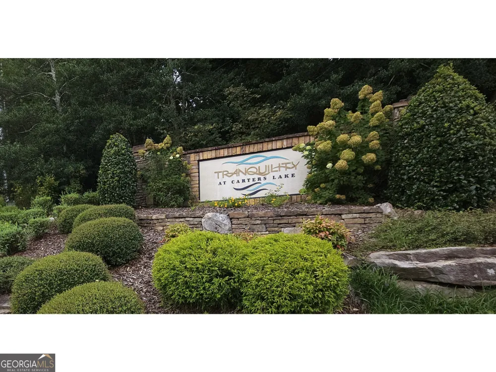 LOT 241 Carters View LN Ellijay, GA 30540