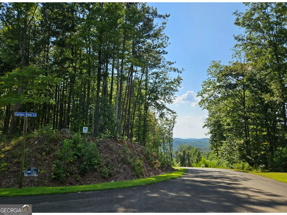 LOT 241 Carters View LN Ellijay, GA 30540