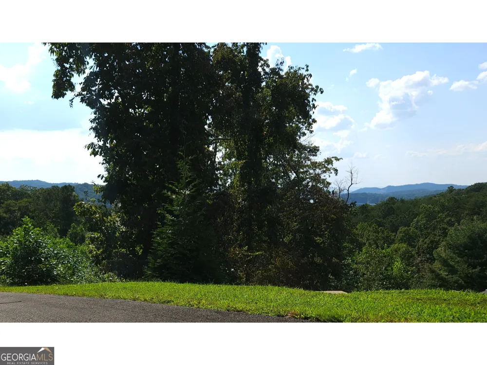 LOT 241 Carters View LN Ellijay, GA 30540