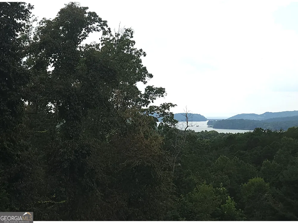 LOT 241 Carters View LN Ellijay, GA 30540