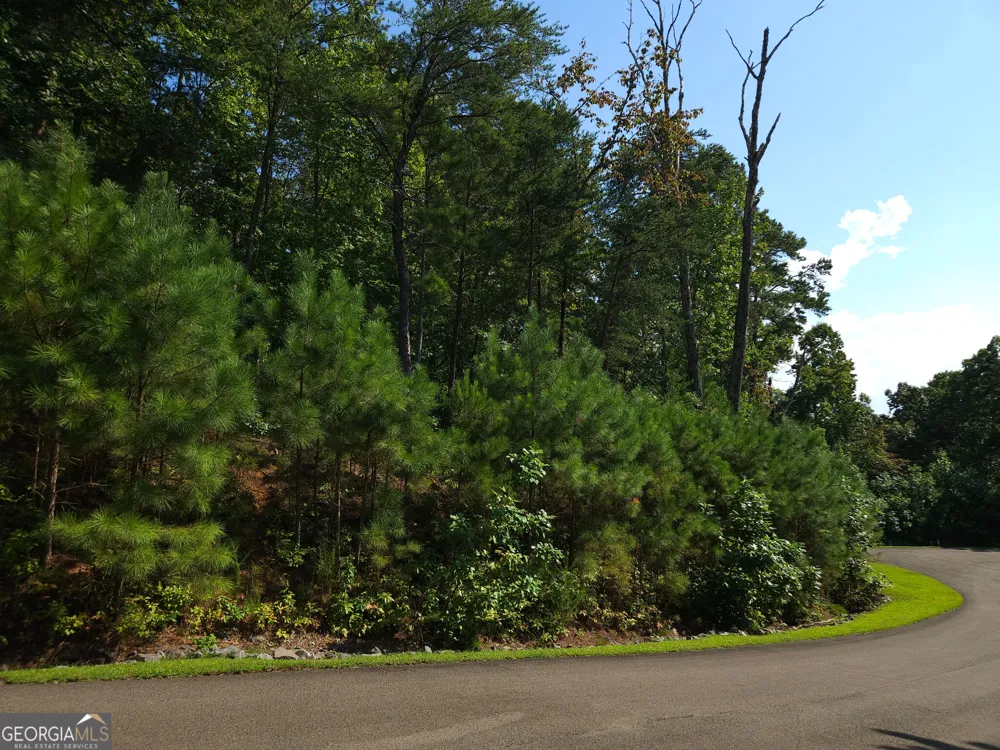 LOT 241 Carters View LN Ellijay, GA 30540
