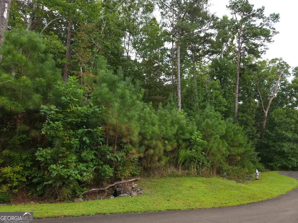 LOT 241 Carters View LN Ellijay, GA 30540