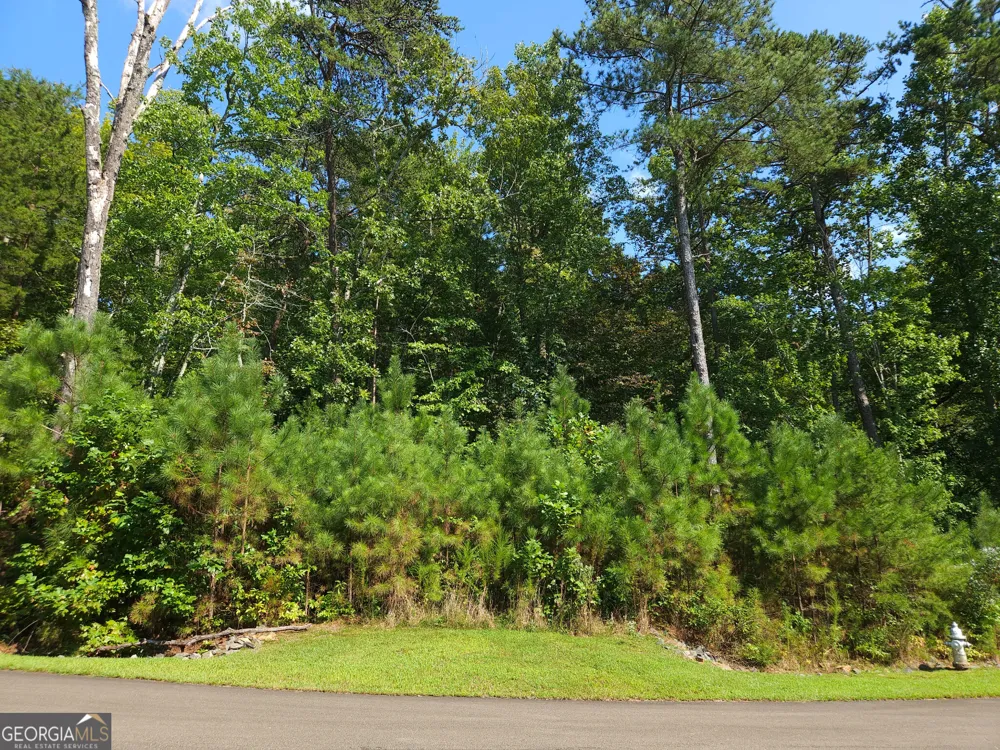 LOT 241 Carters View LN Ellijay, GA 30540