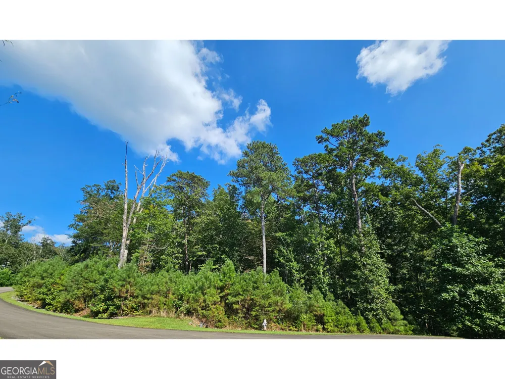 LOT 241 Carters View LN Ellijay, GA 30540