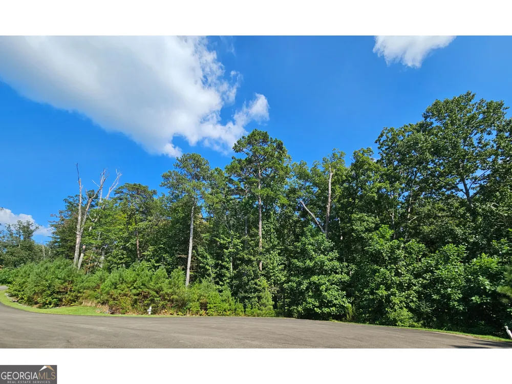 LOT 241 Carters View LN Ellijay, GA 30540