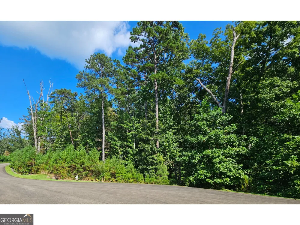 LOT 241 Carters View LN Ellijay, GA 30540