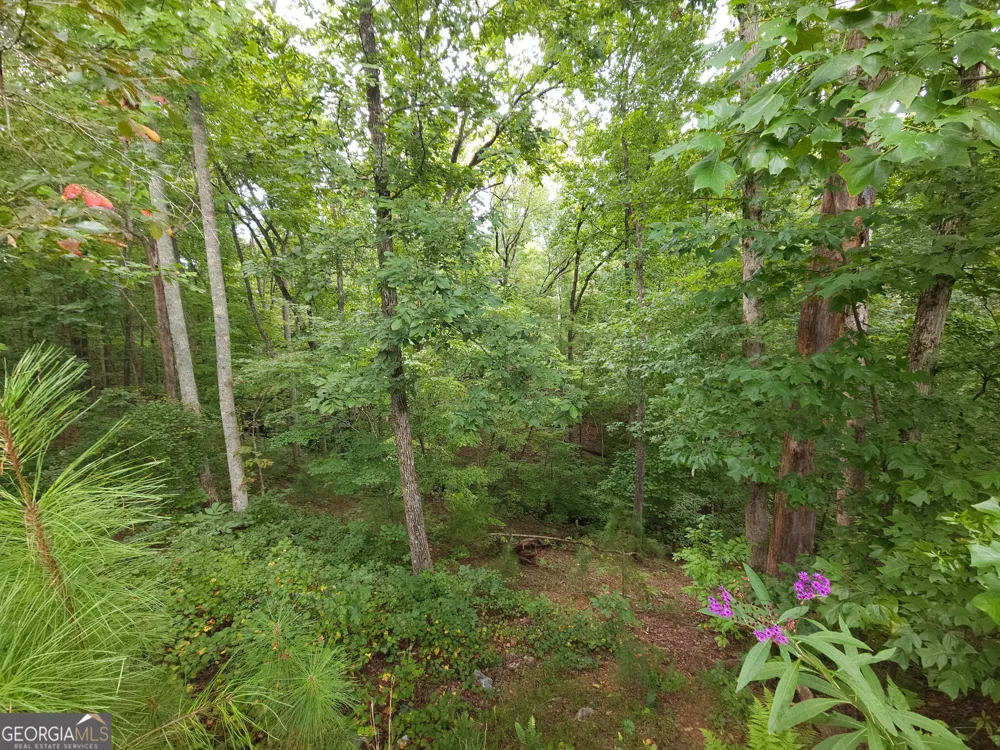 LOT 241 Carters View LN Ellijay, GA 30540