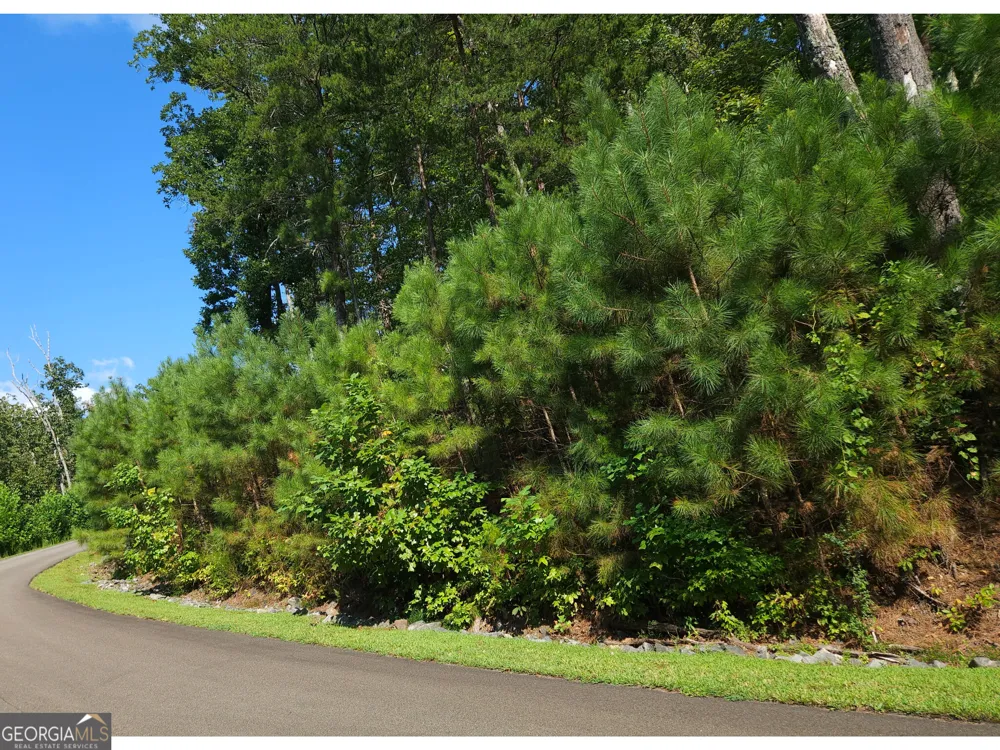 LOT 241 Carters View LN Ellijay, GA 30540