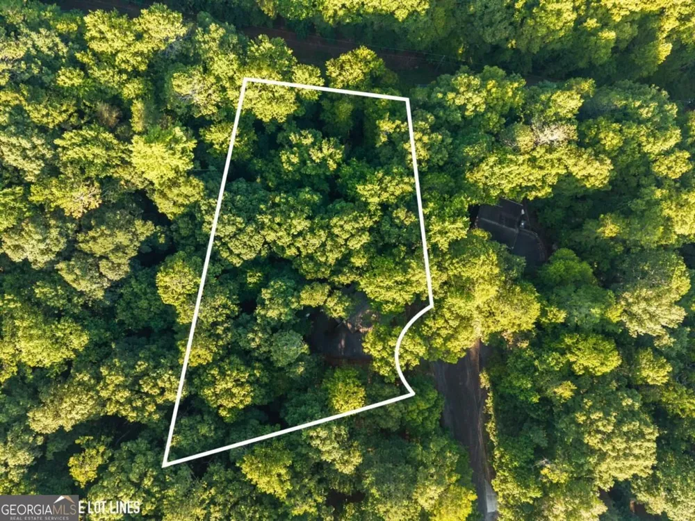 152 Cherry CT Ellijay, GA 30540
