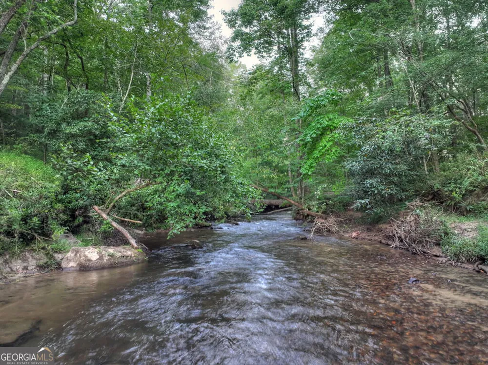 303 Major Ridge RD Blue Ridge, GA 30513