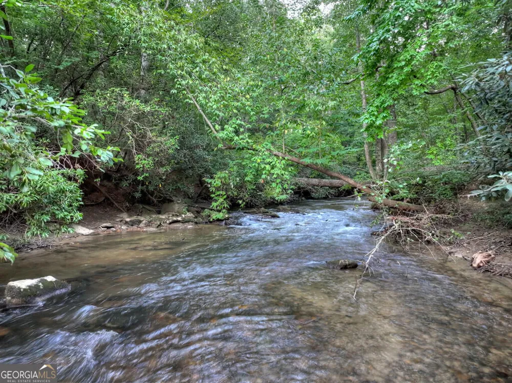 303 Major Ridge RD Blue Ridge, GA 30513