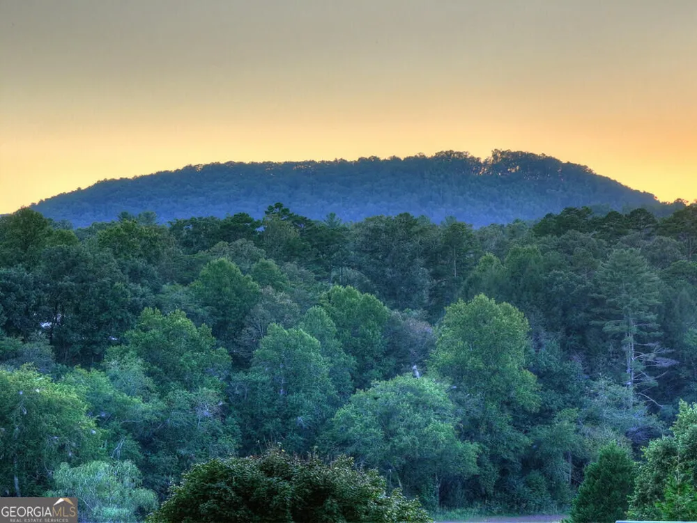 303 Major Ridge RD Blue Ridge, GA 30513
