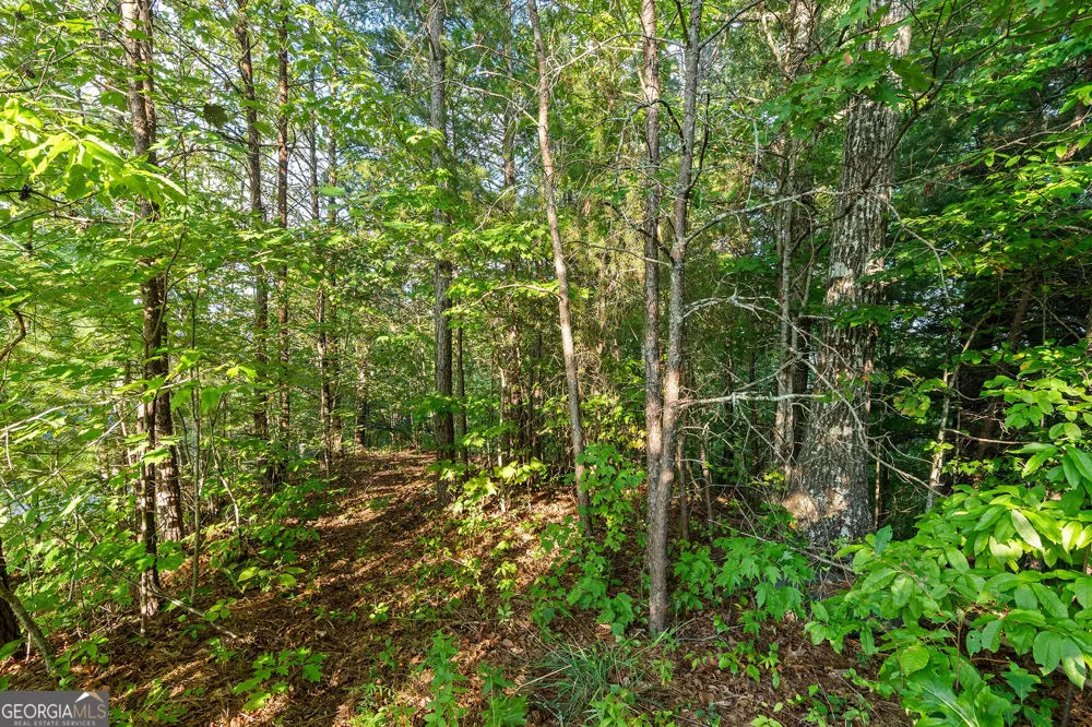 0 Grey Fox Trail B11 Clayton, GA 30525