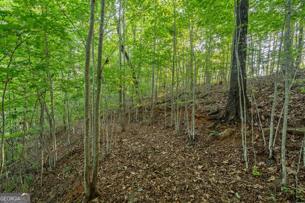 0 Grey Fox Trail B11 Clayton, GA 30525