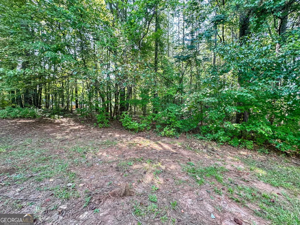 335 Paradise DR Douglasville, GA 30134