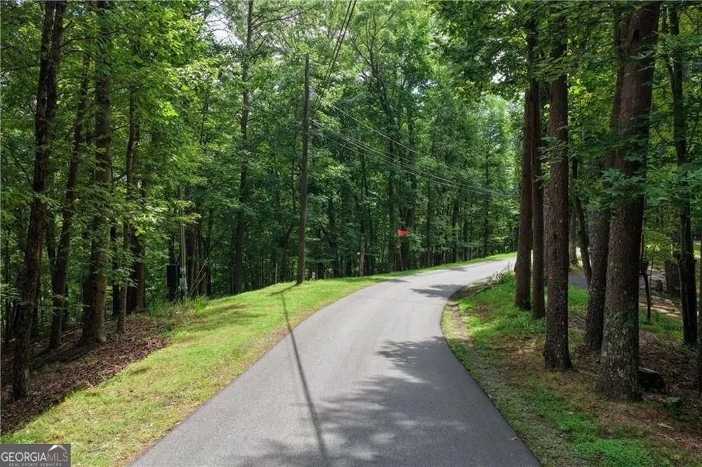 34 Laurel Ridge DR Ellijay, GA 30536