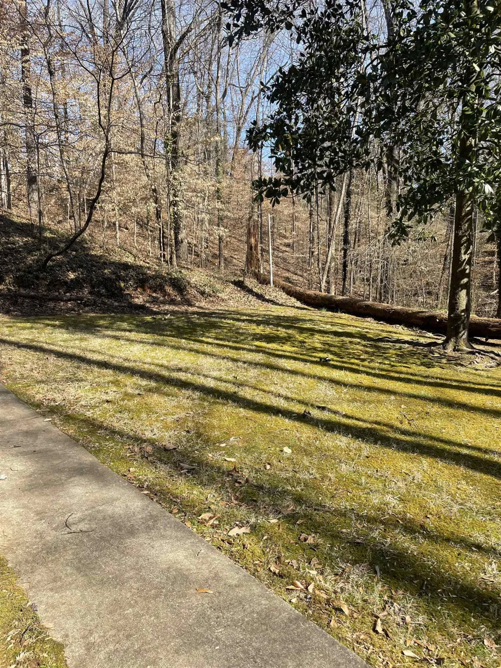 225 Pressley WAY Toccoa, GA 30577