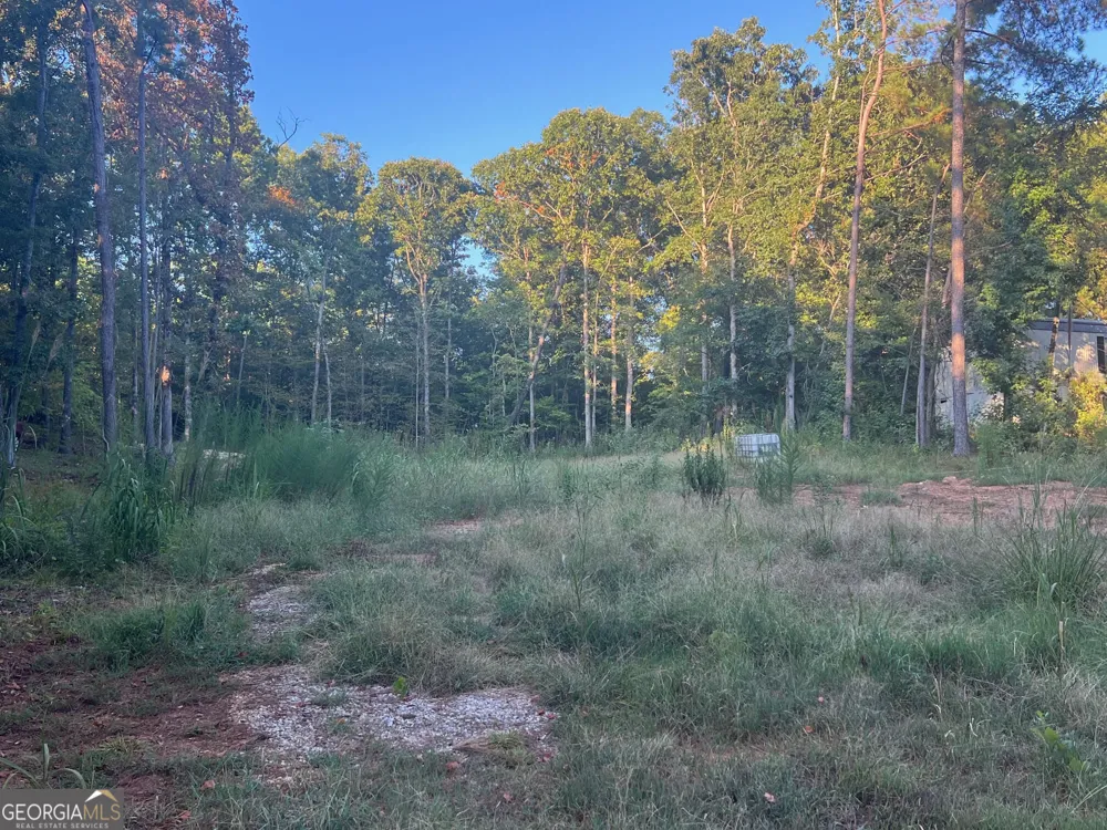 172 A Little River TRL Eatonton, GA 31024