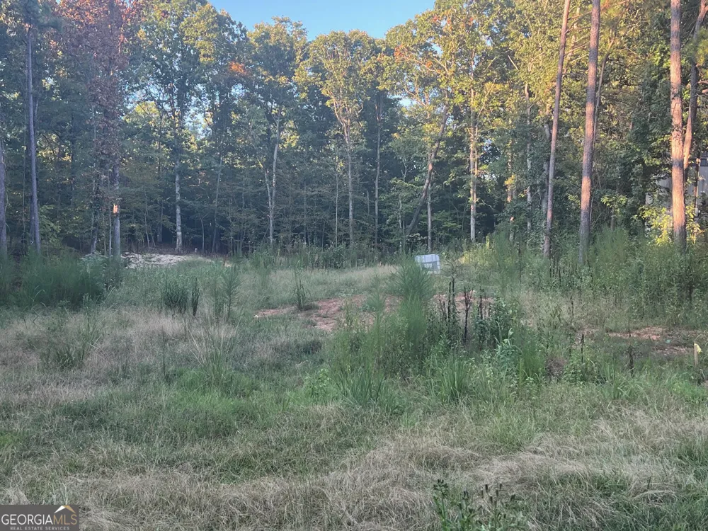 172 A Little River TRL Eatonton, GA 31024