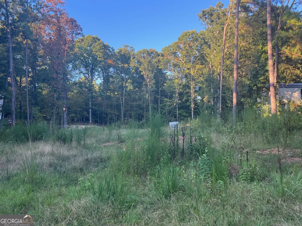 172 A Little River TRL Eatonton, GA 31024