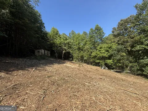 1565 Davis RD