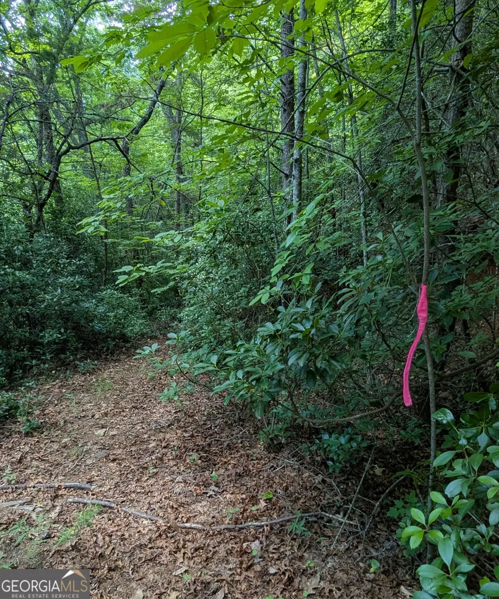 1565 Davis RD Hiawassee, GA 30546