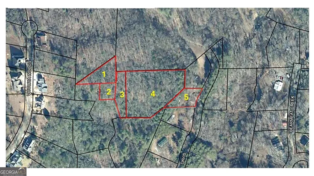 1565 Davis RD Hiawassee, GA 30546