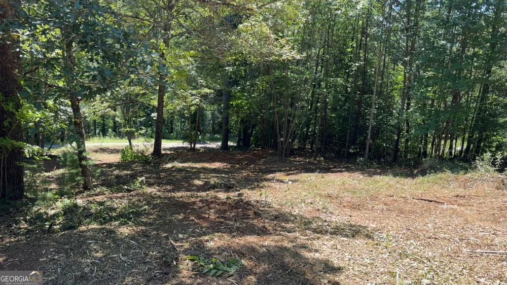 1565 Davis RD Hiawassee, GA 30546