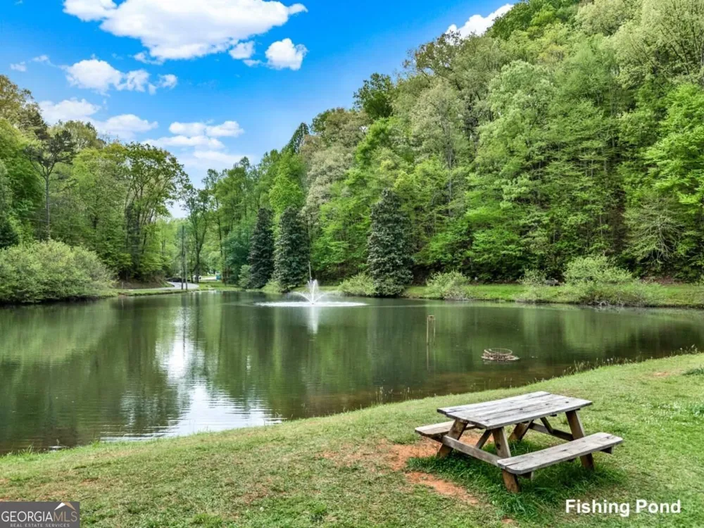 35 Dora LN Ellijay, GA 30540