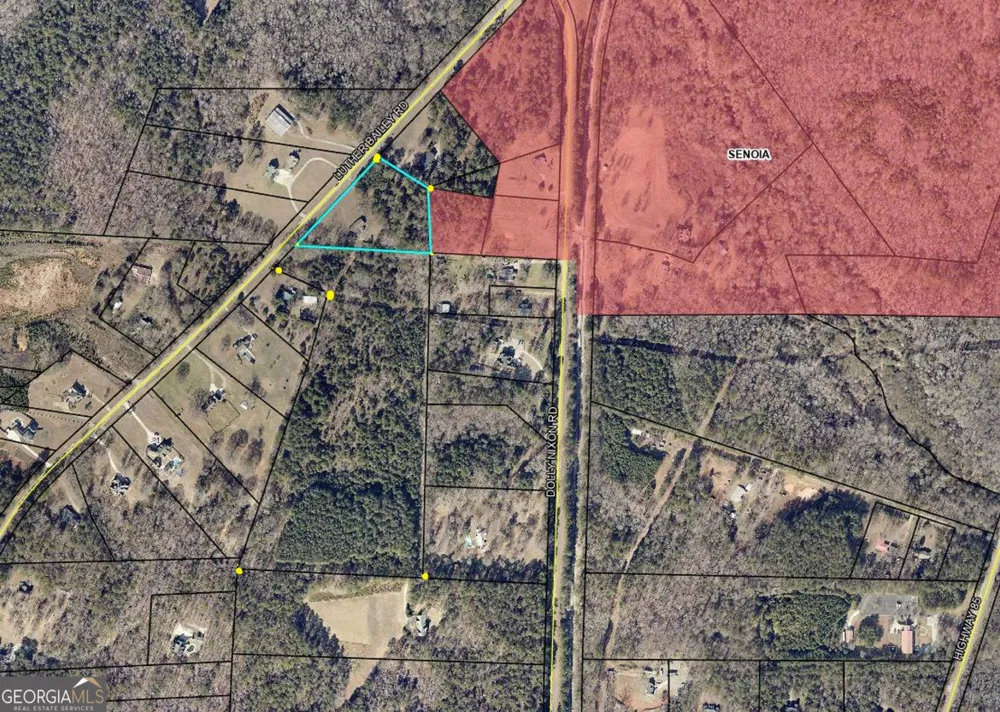 374 A & B LUTHER BAILEY RD Senoia, GA 30276
