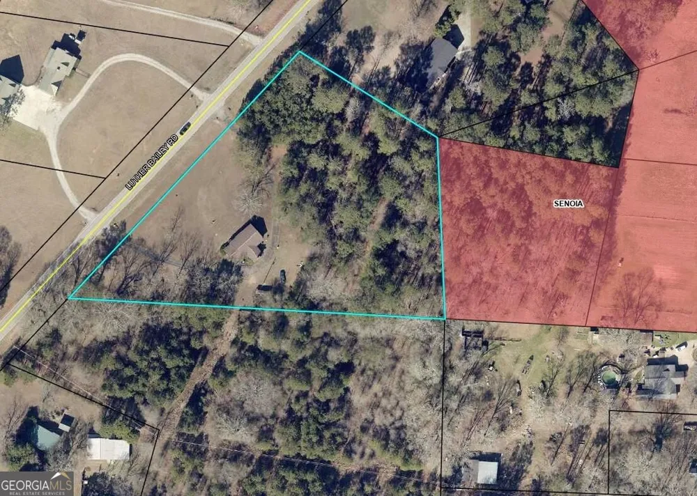 374 A & B LUTHER BAILEY RD Senoia, GA 30276