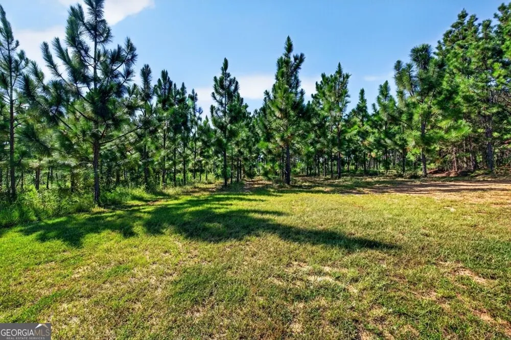 2150 Buena Vista HWY Mauk, GA 31058
