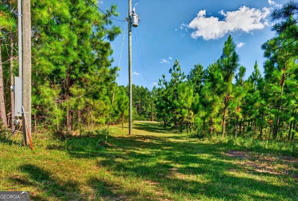 2150 Buena Vista HWY Mauk, GA 31058