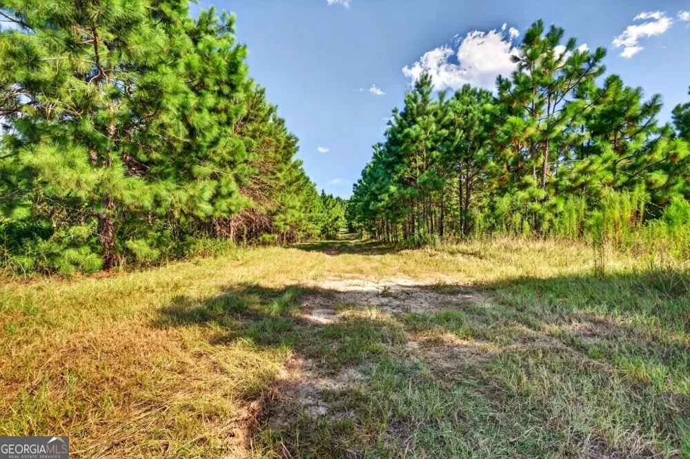 2150 Buena Vista HWY Mauk, GA 31058