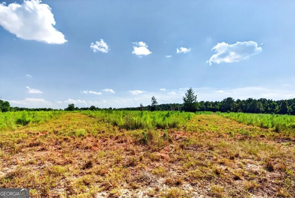 2150 Buena Vista HWY Mauk, GA 31058