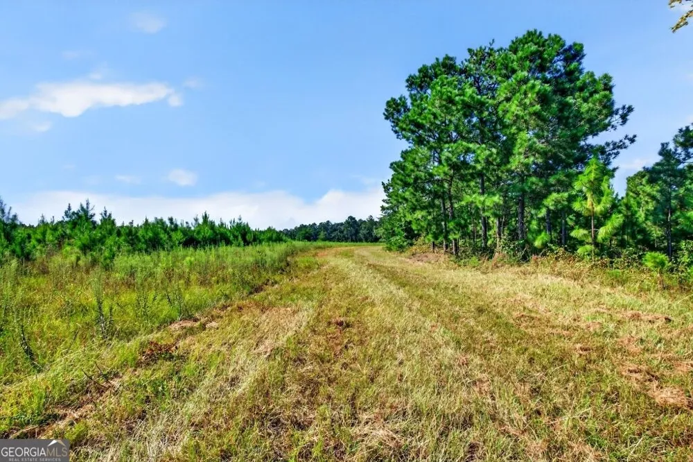 2150 Buena Vista HWY Mauk, GA 31058