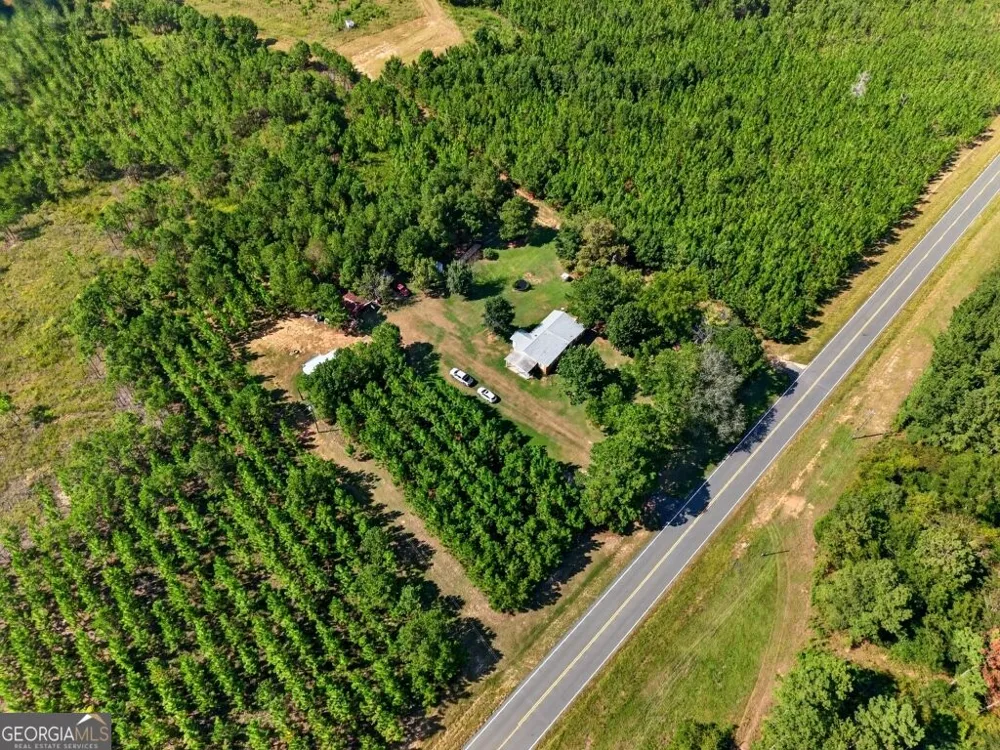 2150 Buena Vista HWY Mauk, GA 31058