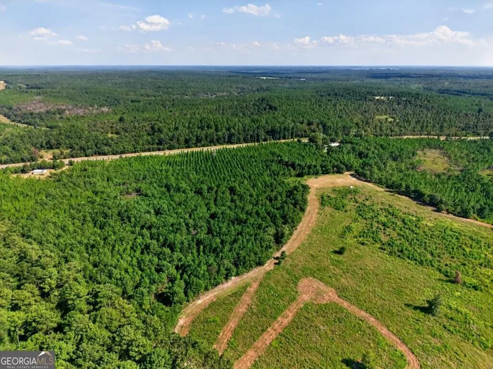 2150 Buena Vista HWY Mauk, GA 31058
