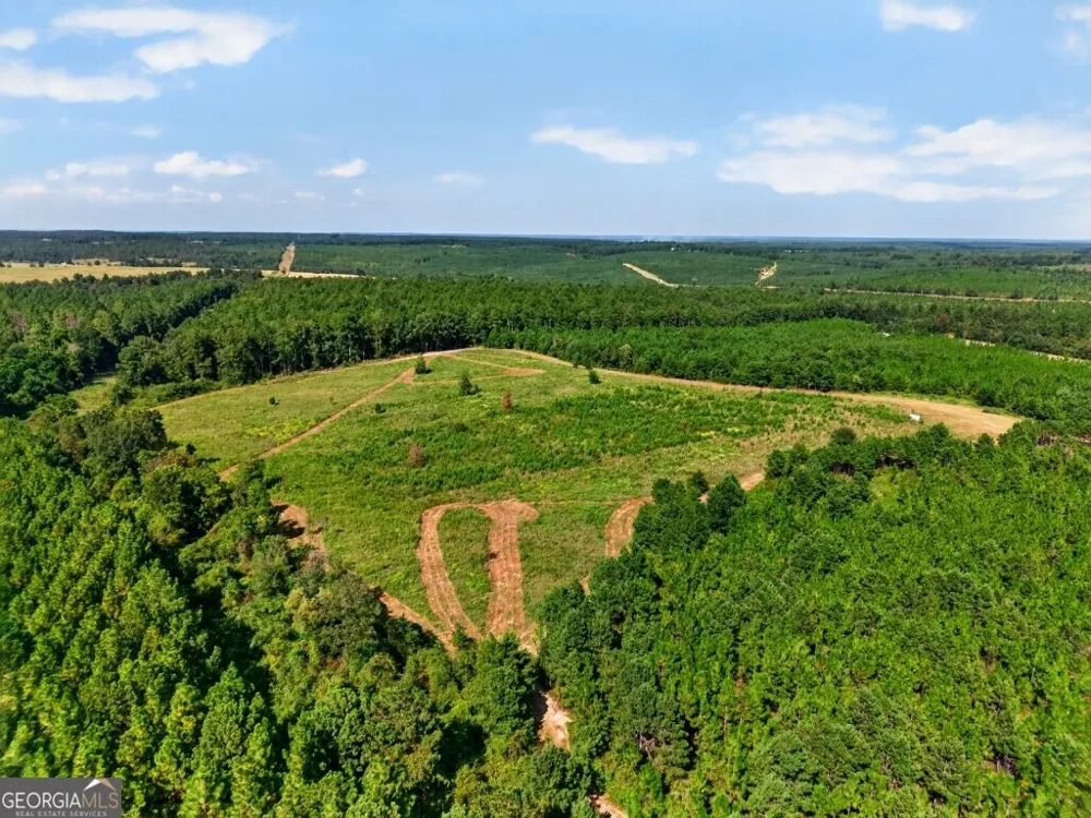 2150 Buena Vista HWY Mauk, GA 31058