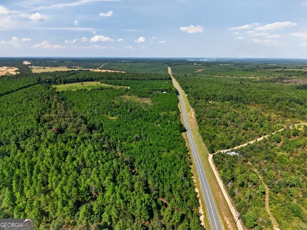 2150 Buena Vista HWY Mauk, GA 31058