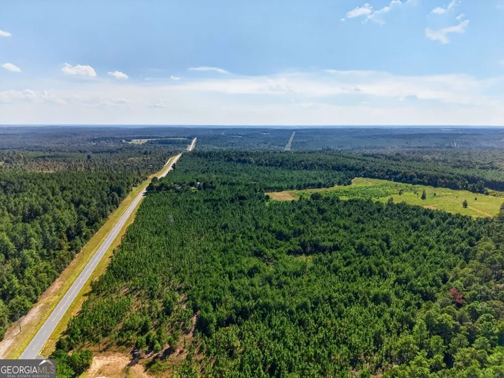 2150 Buena Vista HWY Mauk, GA 31058