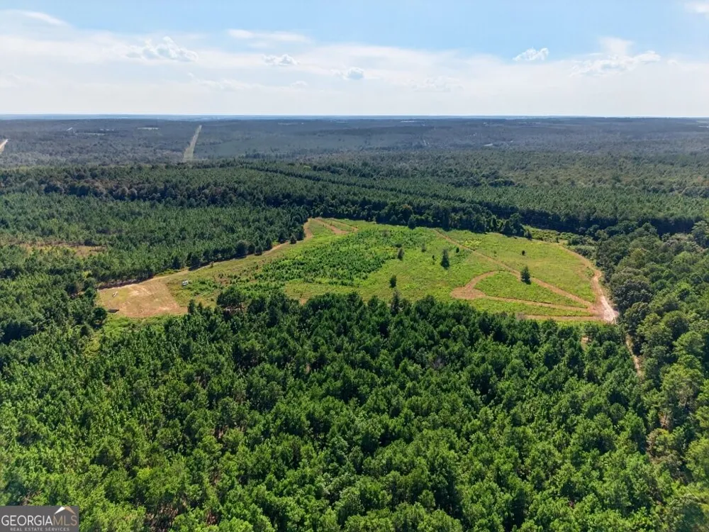 2150 Buena Vista HWY Mauk, GA 31058