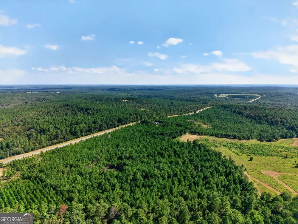 2150 Buena Vista HWY Mauk, GA 31058