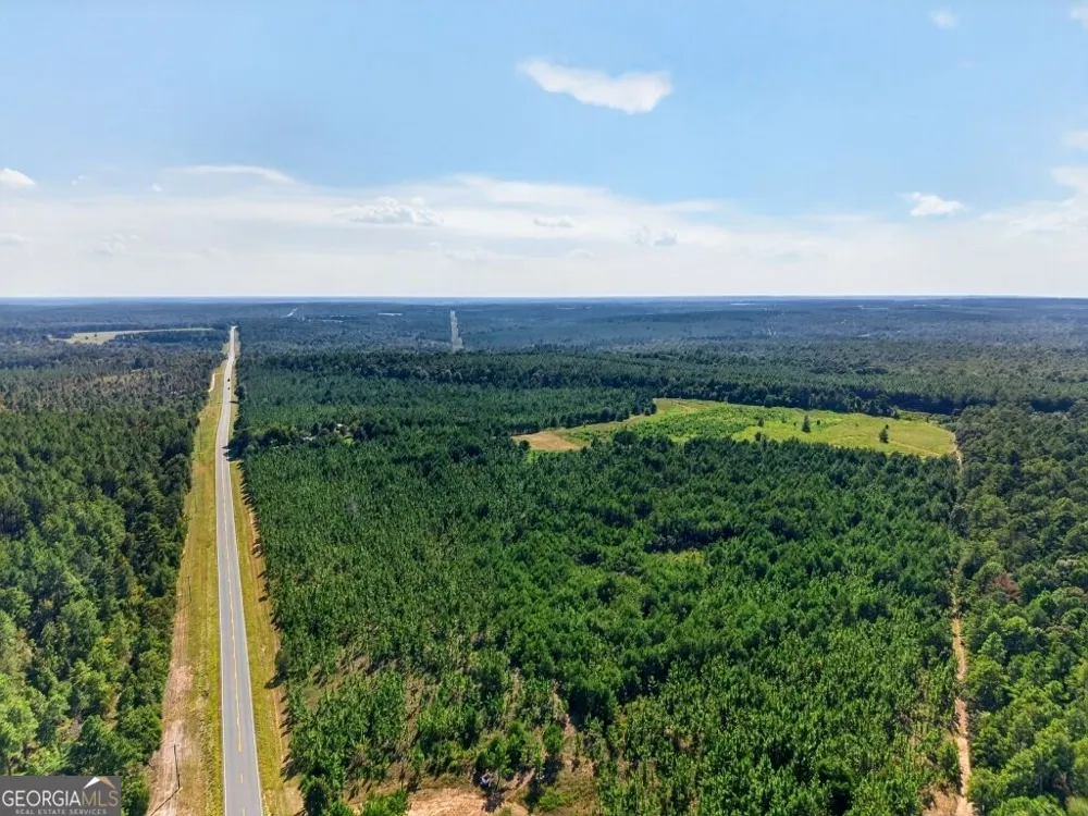 2150 Buena Vista HWY Mauk, GA 31058