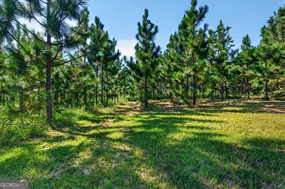 2150 Buena Vista HWY Mauk, GA 31058